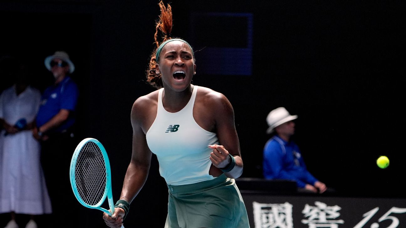 型储能提供 型储能提供