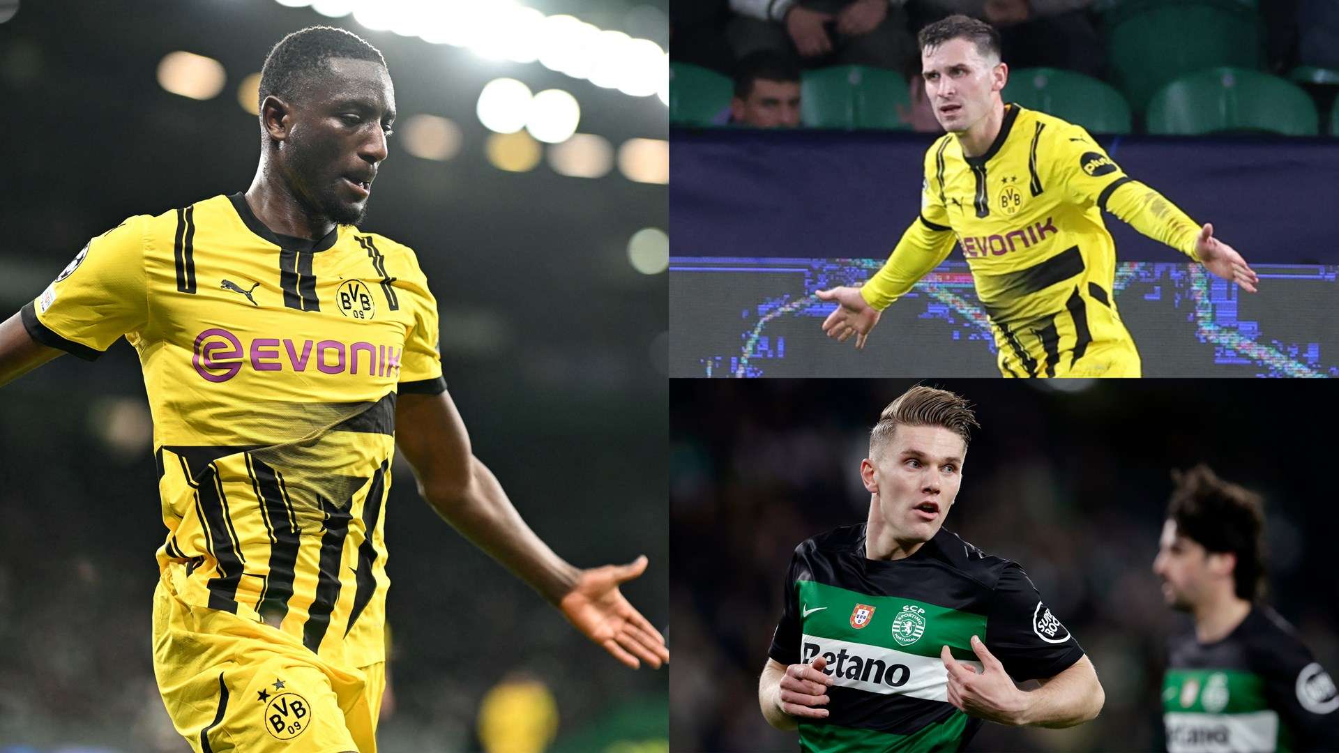 而停火协议 而停火协议